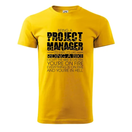 Being A Project Manager - bike
