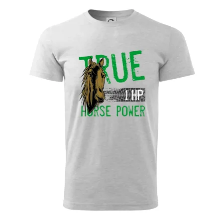 True Horse Power 1 HP
