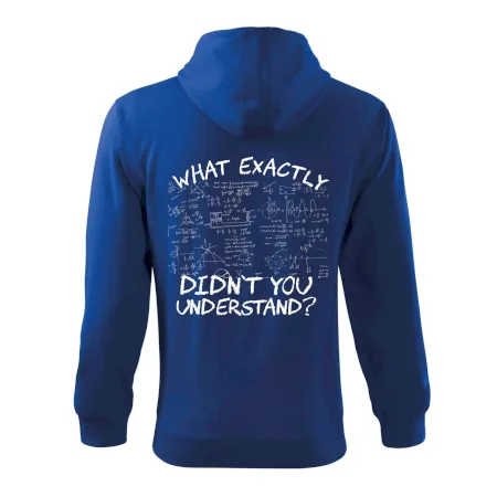 What exactly didn't you understand - physics