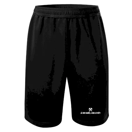 JÁ SEM HAVIŘ, A KDO JE VIĆ?!﻿