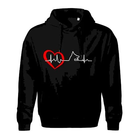 Nemecký ovčiak ekg