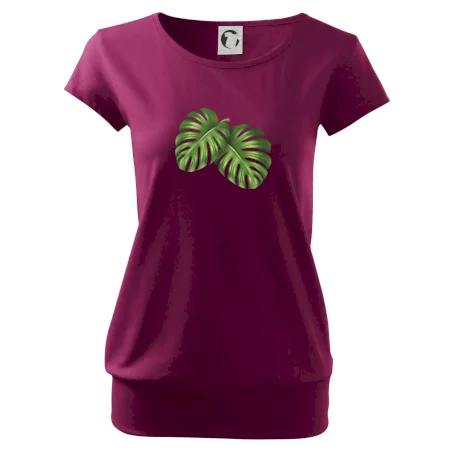 Monstera - dva listy