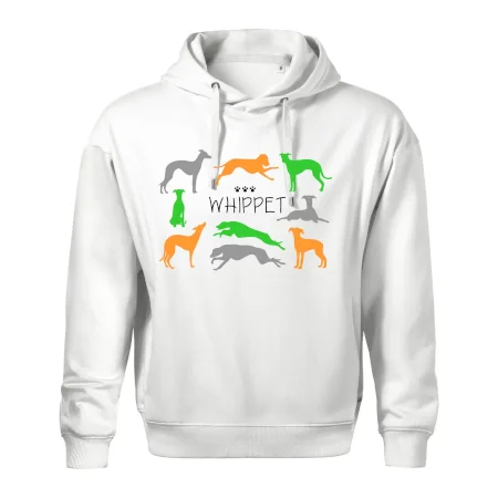 Whippet farebný
