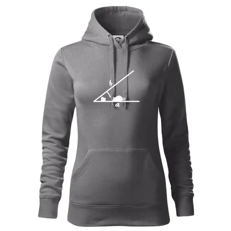 Matematická myš