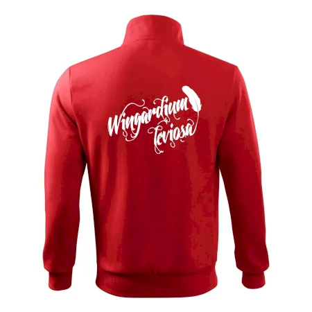 Harry - Wingardium Leviosa