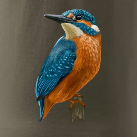 Ľadnáčik kreslený