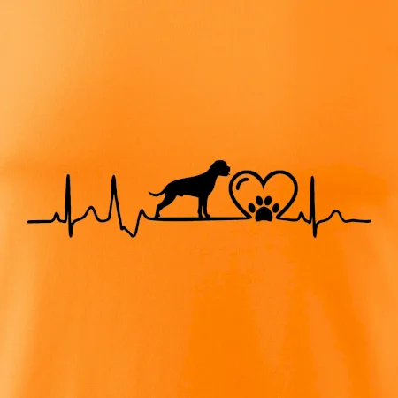 Nemecký boxer EKG