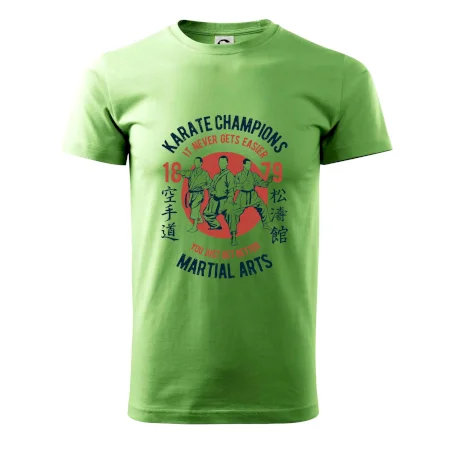 Karate Champions