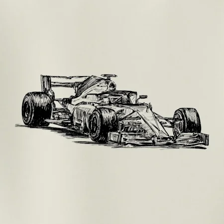 Formula v závode