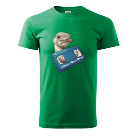 Pštrosi vídea
