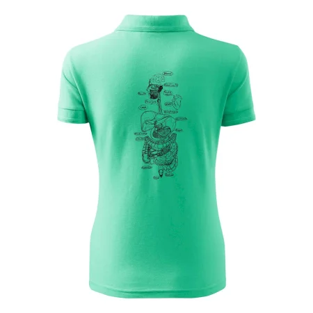 Skica ľudských orgánov