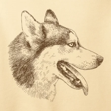 Husky - hlava z boku