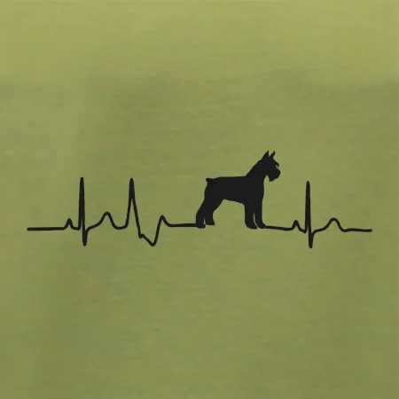 Ekg bradáč telo