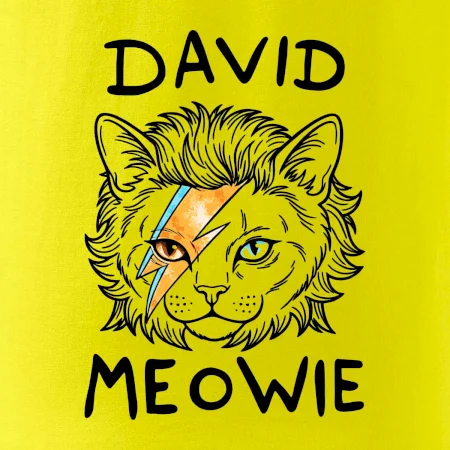 David Meowie