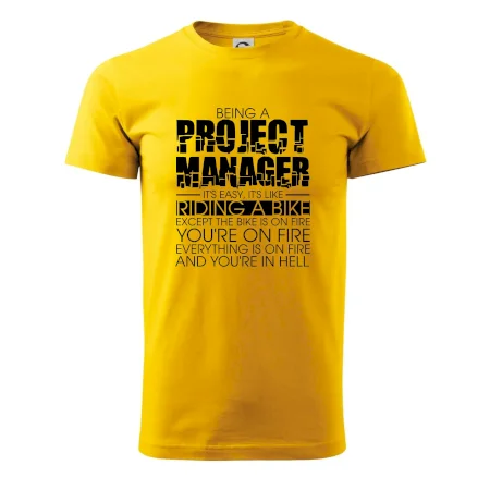 Being A Project Manager - bike