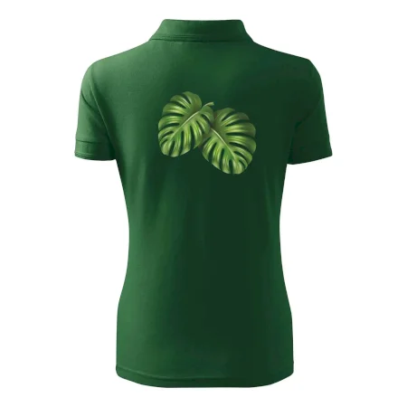 Monstera - dva listy