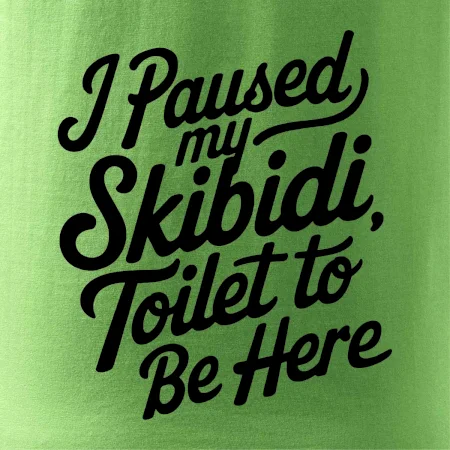 I Paused My Skibidi Toilet to be Here