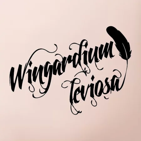 Harry - Wingardium Leviosa