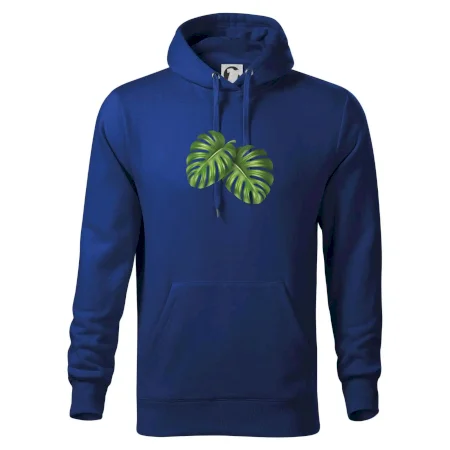 Monstera - dva listy