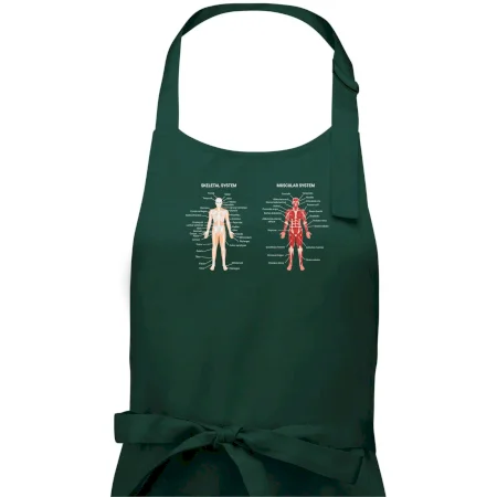 Skelet and Moscular system