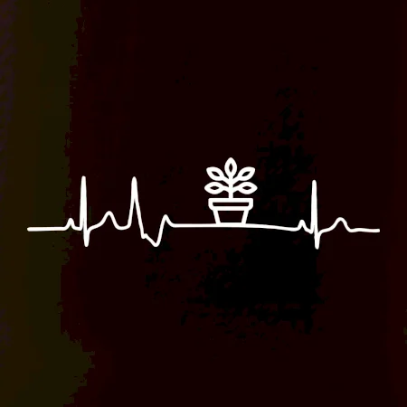 EKG fíkus