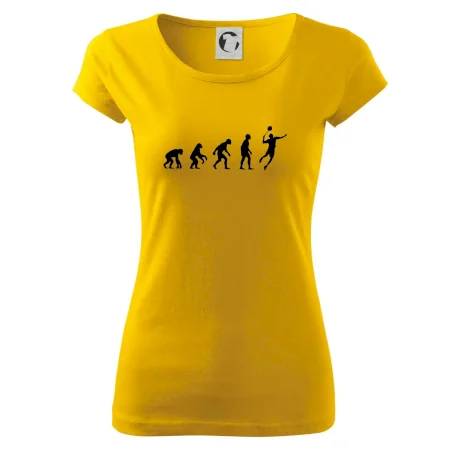 Evolúcia Bedminton