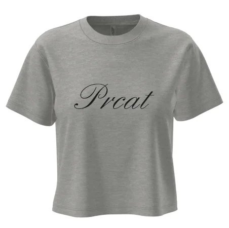 Prcat (súložiť vulgárne)