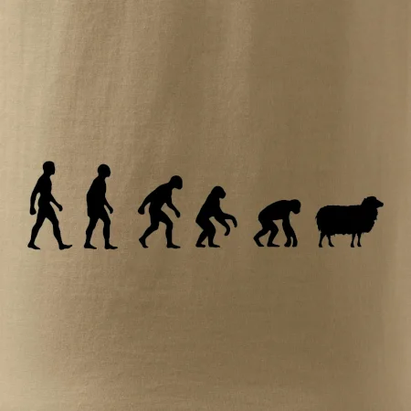 Evolúcia ovce