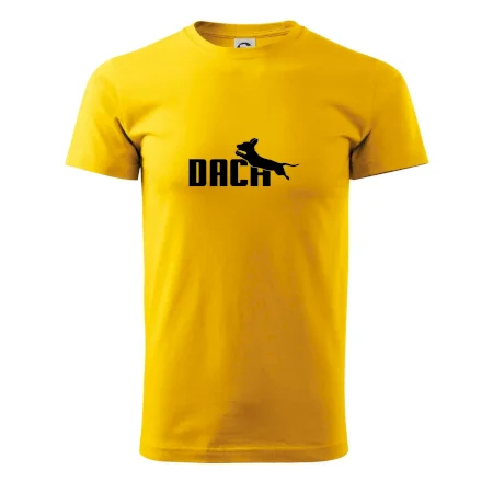 Jazvečík Dach