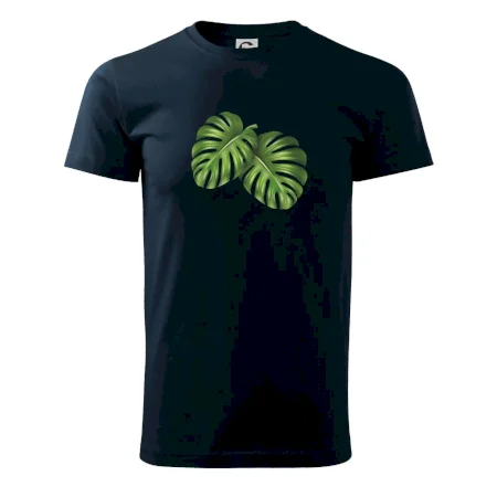 Monstera - dva listy