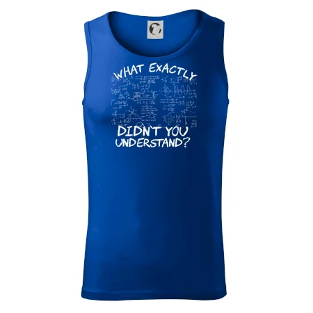 What exactly didn't you understand - physics