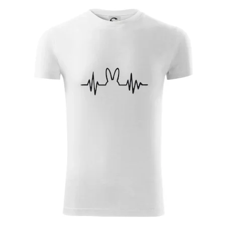 EKG zajac