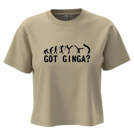 Capoeira - Got Ginga