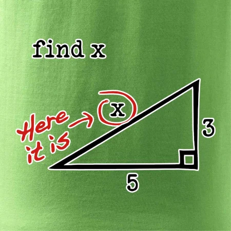 Find X - geometria