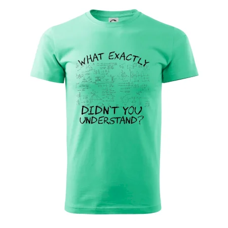 What exactly didn't you understand - physics
