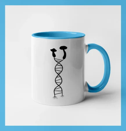 DNA huby