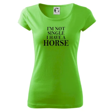 I have a horse