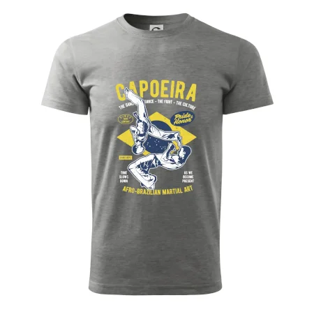 Capoeira  Afro-brazil art
