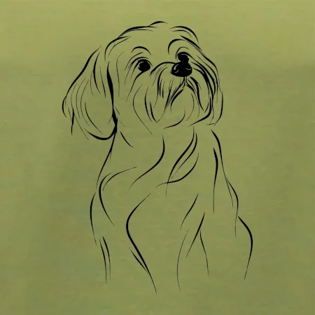 Lhasa Apso čierny nákres slabej linky
