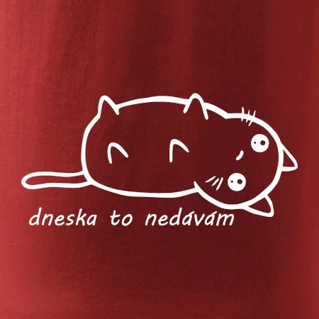 Dnes to nedávam
