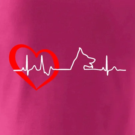 Nemecký ovčiak ekg