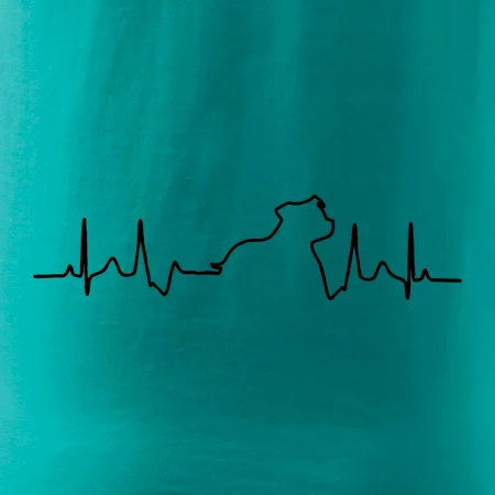 Stafordšírsky bulteriér ‎ EKG