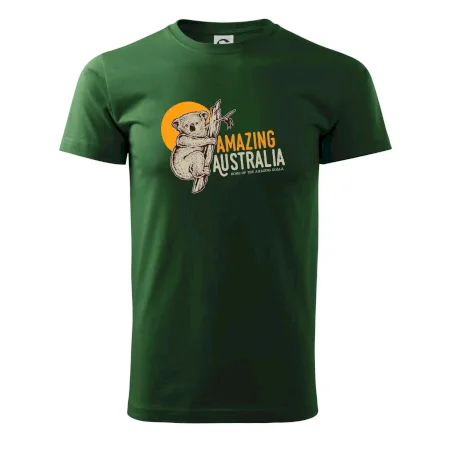 Amazing Australia koala