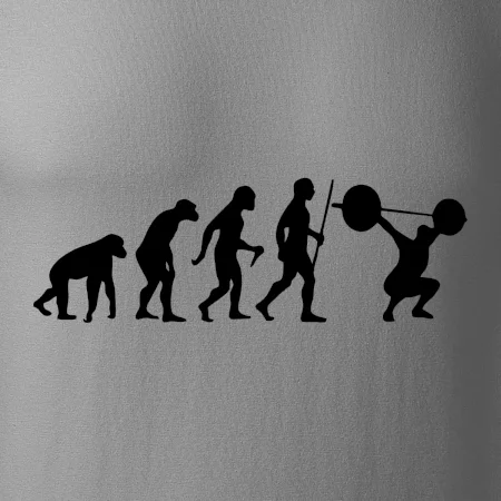 Evolution fitness