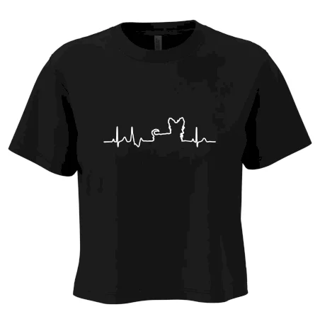 Yorkshirský teriér EKG