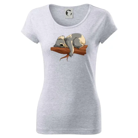 Koala na vetve