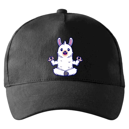 Yoga meditácie - lama