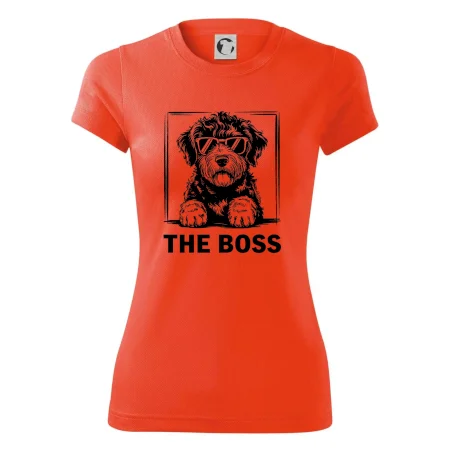 Lagotto romagnolo the boss