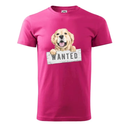 Zlatý retriever - šteniatko wanted