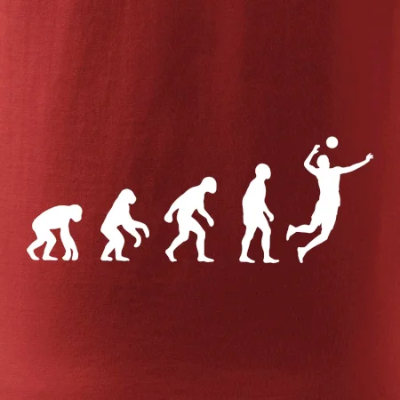 Evolúcia volejbal muž